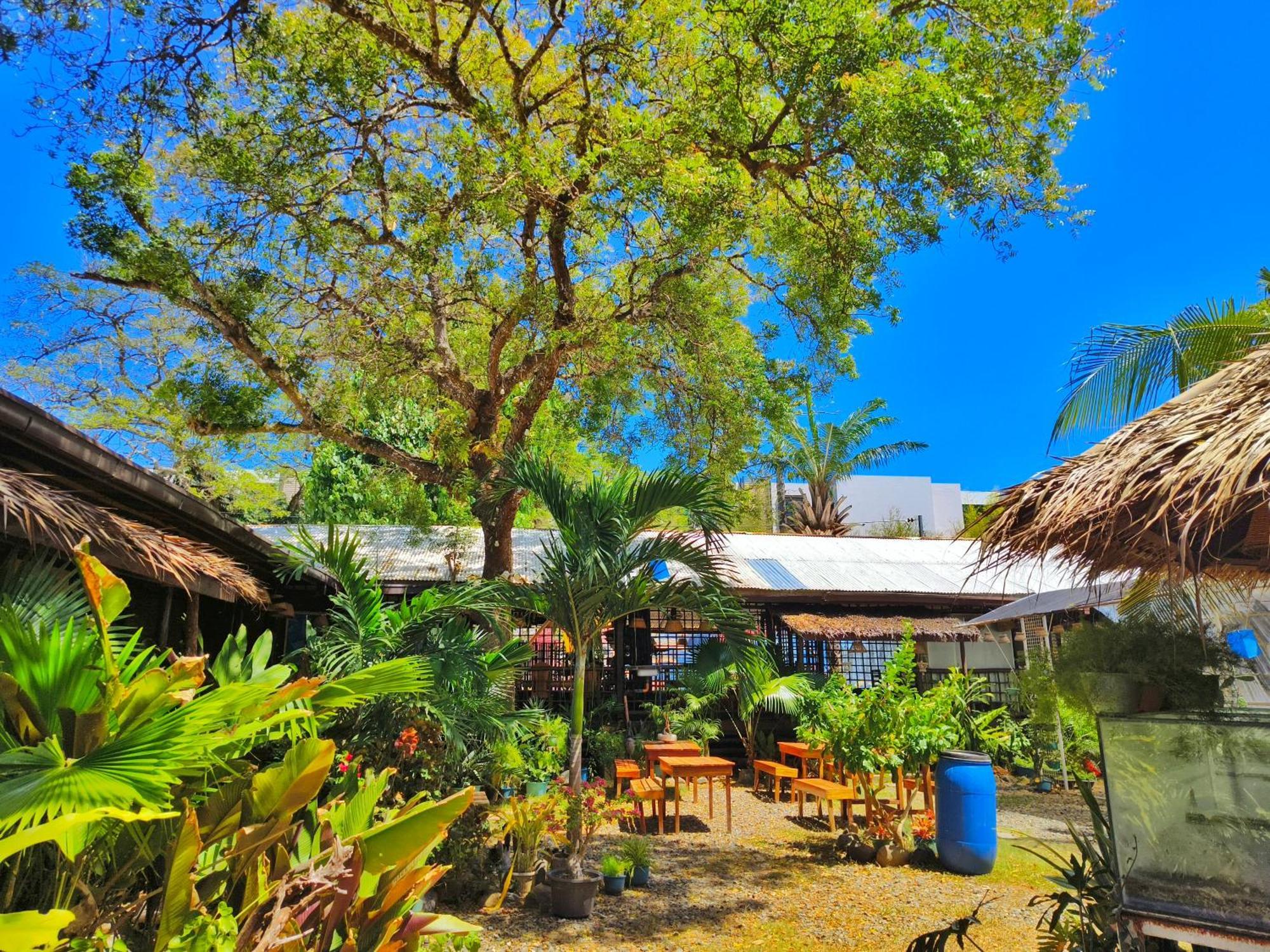 Lokal Hut Bed And Breakfast Пуэрто-Принцеса Экстерьер фото